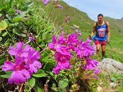 Bello il ‘Sentiero delle panchine ‘ ad anello da San Simone-Passo San Simone + Forcella Rossa-17giu25 - FOTOGALLERY